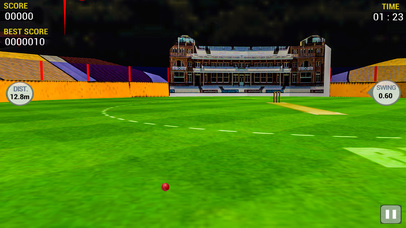 Cricket Run Out 3D screenshot 4