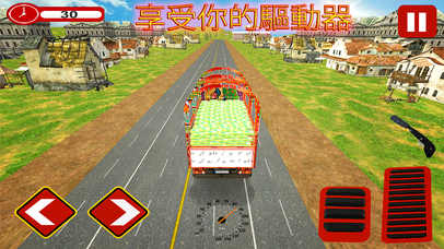 中國樸卡車：CPEC模擬器 screenshot 4