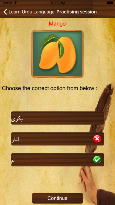 Learn Urdu Language screenshot 4