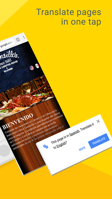 download Google Chrome – The Fast and Secure Web Browser apps 3