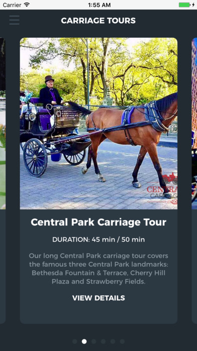 Central Park Carriage Tours screenshot 3