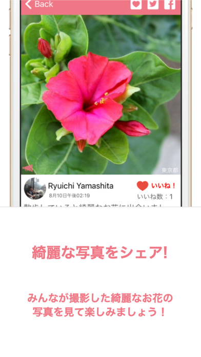 花・植物好きが集まる写真共有・図鑑アプリ, FLOWERY screenshot 3