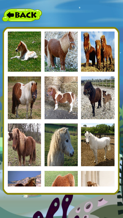 Learn Pony And Horse Games Jigsaw Puzzles screenshot 2