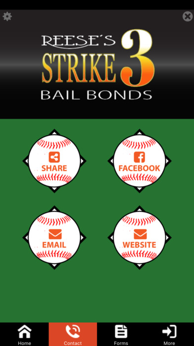 Strike 3 Bail Bonds screenshot 2