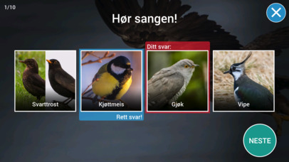 Fugler i nærmiljøet screenshot 2