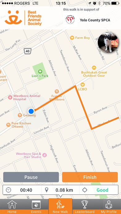 iPhone Screenshot 1