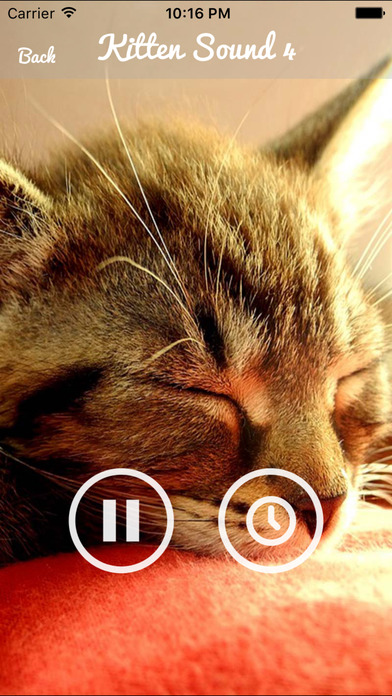 Kitten Sounds – Cat Meow Sound screenshot 3