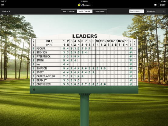 iPad Screenshot 1
