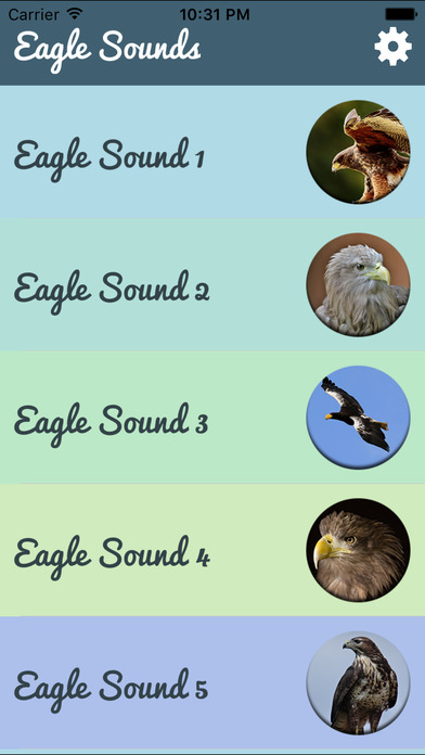 Eagle sounds – Bald Sound screenshot 2