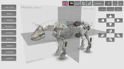 3D Pig Anatomy screenshot 4