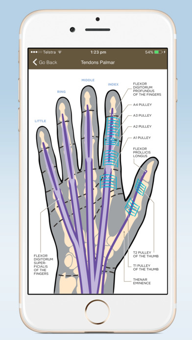 HANDOC - Hand Injury Experts screenshot 3