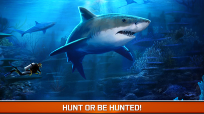 Hungry Fish Hunting - Shark Spear-fishing Game PRO screenshot 4