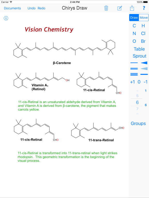 iPad Screenshot 1