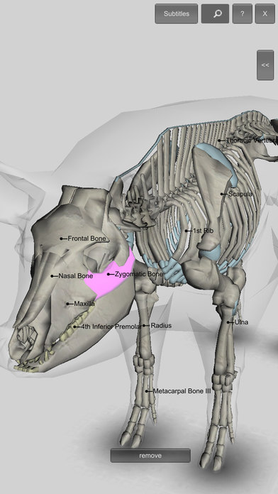 3D Pig Anatomy screenshot 3
