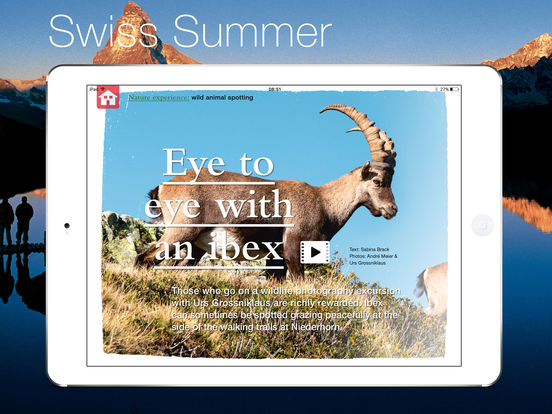 iPad Screenshot 1
