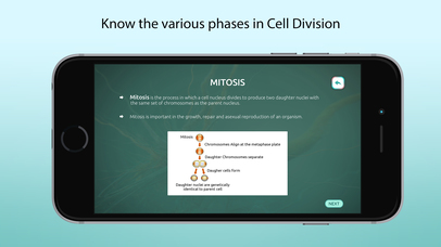 Process of Cell Division screenshot 3
