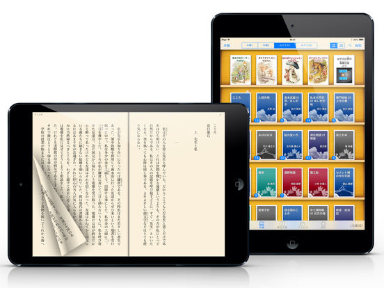 iPad Screenshot 1