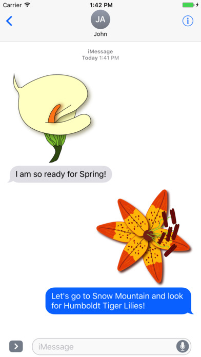 Springtime Flowers screenshot 2