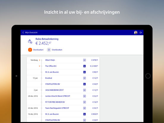 iPad Screenshot 2