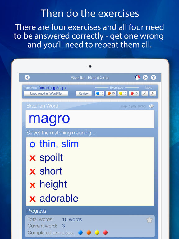 iPad Screenshot 4