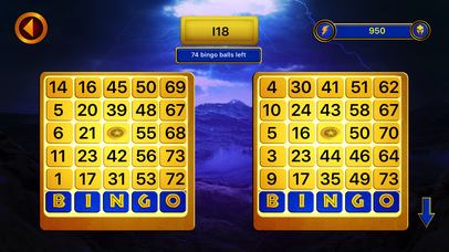 Super Bingo Machine Slots screenshot 2