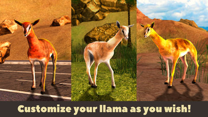 Llama Simulator 3D screenshot 4