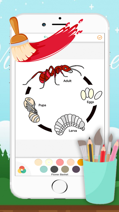 Ant Coloring Page Drawings Book for kids screenshot 3