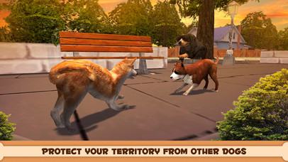 Shiba Inu Japanese Dog Simulator 3D screenshot 2