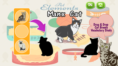 Cats And Kittens Shadow Matching Game screenshot 2