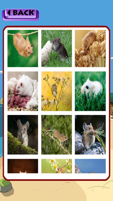 Learning Mouse Games Jigsaw Puzzles Version screenshot 2