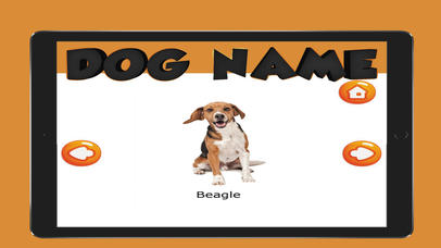The Dog Name English Vocabulary screenshot 4