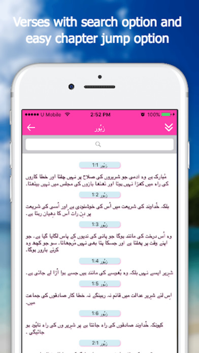Bible App - Urdu screenshot 3