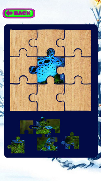 Learning Jigsaw Of Frog Puzzle Version screenshot 3