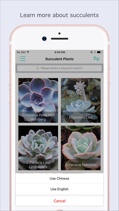 Succulent Album - Help You Know Succulents screenshot 3