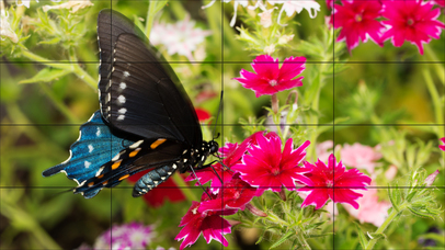 Tile Puzzle Butterflies screenshot 4