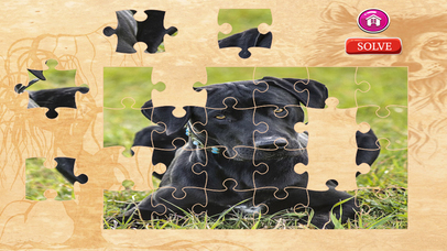 Dog Jigsaw Puzzles - Activities for Family screenshot 3