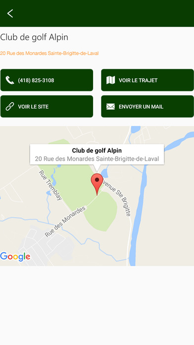Golf Alpin screenshot 3