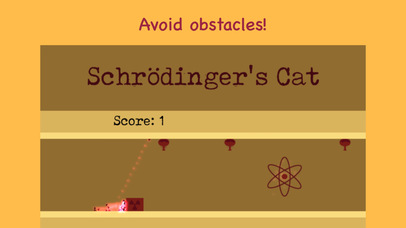 Schrodinger's Cat screenshot 4