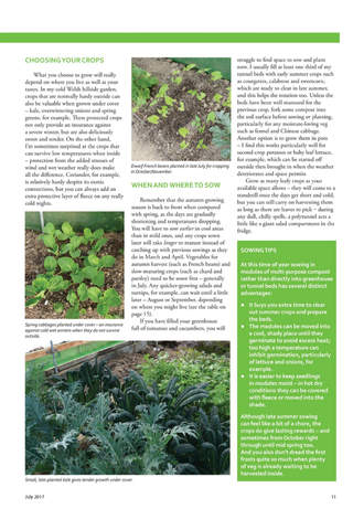 Home Farmer – The Magazine for Home Growers screenshot 3