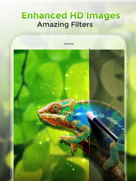 iPad Screenshot 2