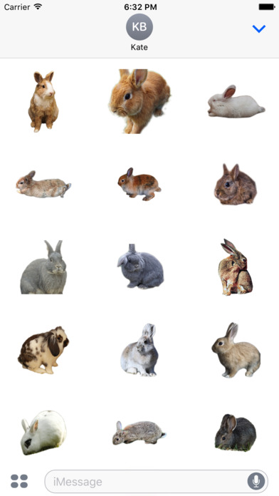 Rabbit photo sticker screenshot 2