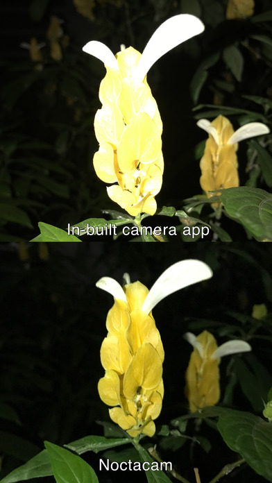 NoctaCam Low-Light Camera screenshot 2