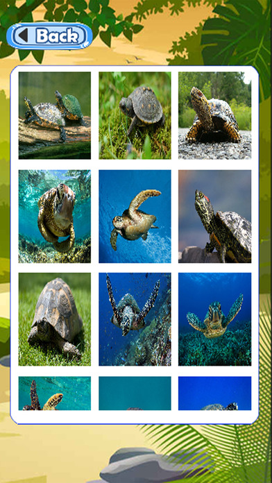 Learn And Puzzle Games Turtle Jigsaw screenshot 2