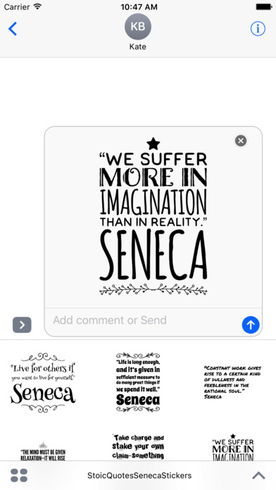 Stoic - Seneca Quote Stickers for iMessage screenshot 3