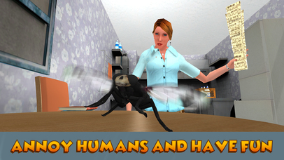 House Fly Insect Survival Simulator screenshot 4