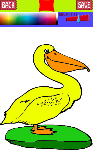 Pelicans Learn And Coloring Pages Book Gaems screenshot 2