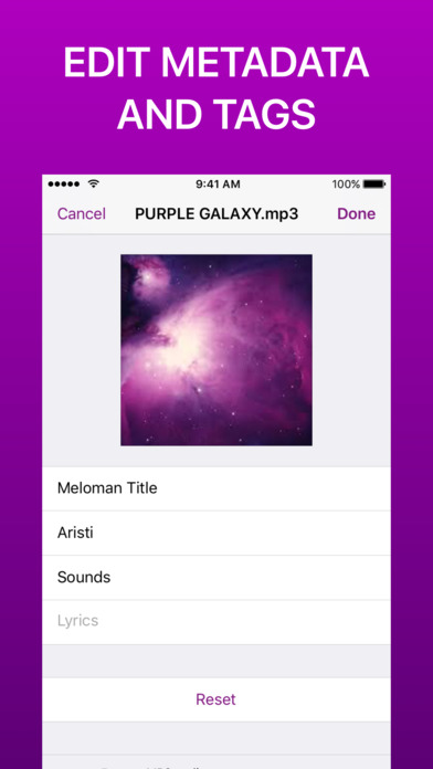 Meloman Offline Player screenshot 3