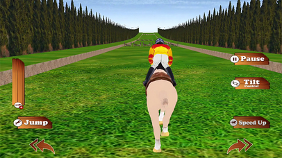 Jumping Horse 3D Simulator Racing Game -Pro screenshot 2