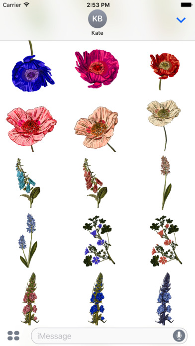 Botanical Flowers Stickers screenshot 4