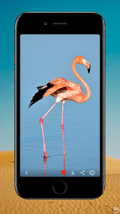 iPhone 屏幕快照 3